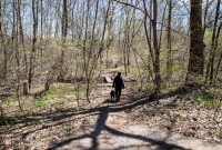 Ann Arbor Trails - Bird Hill - 2015-42