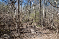 Ann Arbor Trails - Bird Hill - 2015-5