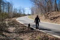 Ann Arbor Trails - Bird Hill - 2015-7