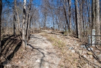 Ann Arbor Trails - Bird Hill - 2015-8