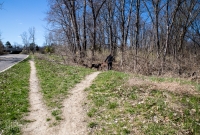 Ann Arbor Trails - Bird Hill - 2015-9