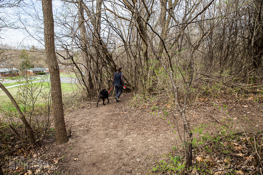 Ann Arbor Trails - Leslie -2015-19