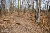 Ann Arbor Trails - Leslie -2015-10