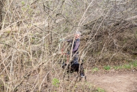 Ann Arbor Trails - Leslie -2015-12