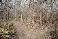 Ann Arbor Trails - Leslie -2015-14