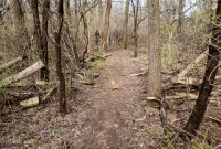 Ann Arbor Trails - Leslie -2015-15