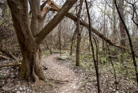 Ann Arbor Trails - Leslie -2015-20