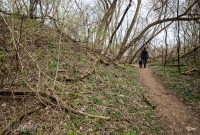 Ann Arbor Trails - Leslie -2015-22
