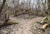 Ann Arbor Trails - Leslie -2015-24