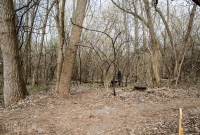 Ann Arbor Trails - Leslie -2015-25
