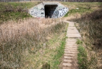Ann Arbor Trails - Leslie -2015-28