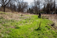 Ann Arbor Trails - Leslie -2015-3
