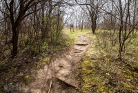 Ann Arbor Trails - Leslie -2015-31