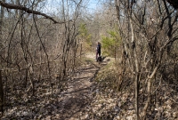 Ann Arbor Trails - Leslie -2015-32