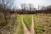 Ann Arbor Trails - Leslie -2015-36