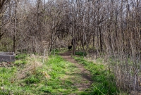 Ann Arbor Trails - Leslie -2015-4
