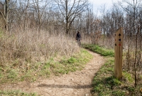 Ann Arbor Trails - Leslie -2015-7