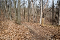 Ann Arbor Trails - Leslie -2015-9