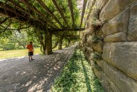 asheville-151