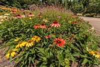 asheville-159