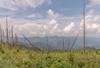asheville-183