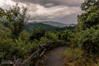 asheville-231