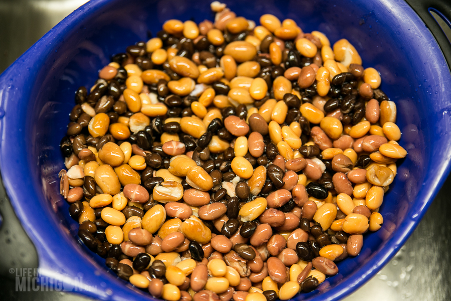 Wash Beans - 2014