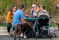 Backyard-Beer-Garden-2021-29