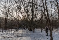 Baldy Dune Trail-10