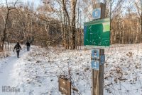 Baldy Dune Trail-12