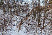 Baldy Dune Trail-13