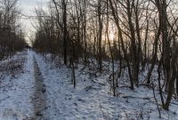 Baldy Dune Trail-23