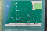 Baldy Dune Trail-3