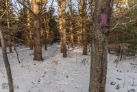 Baldy Dune Trail-6