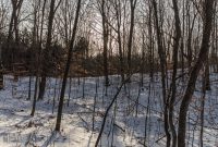 Baldy Dune Trail-9