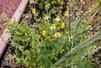 Barrel-Beam-Marquette-2023-51