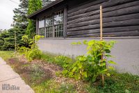 Barrel-Beam-Marquette-2023-53