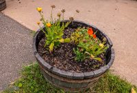 Barrel-Beam-Marquette-2023-54