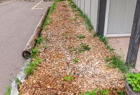 Barrel-Beam-Marquette-2023-55