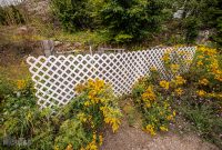 Barrel-Beam-Marquette-2023-58