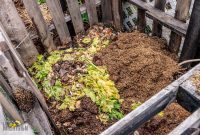 Barrel-Beam-Marquette-2023-61