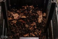 Barrel-Beam-Marquette-2023-64