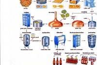 beer-101-presentation3
