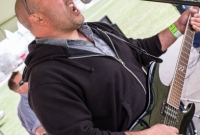 Beer City Spring Fest 2014