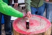 Beer City Spring Fest 2014