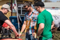 Beercity - Springfest - 2015-21