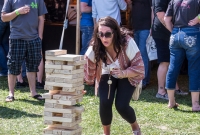 Beercity - Springfest - 2015-77