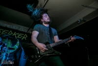 Immortal Bird @ Berserker IV