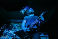 Immortal Bird @ Berserker IV