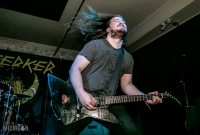 Immortal Bird @ Berserker IV